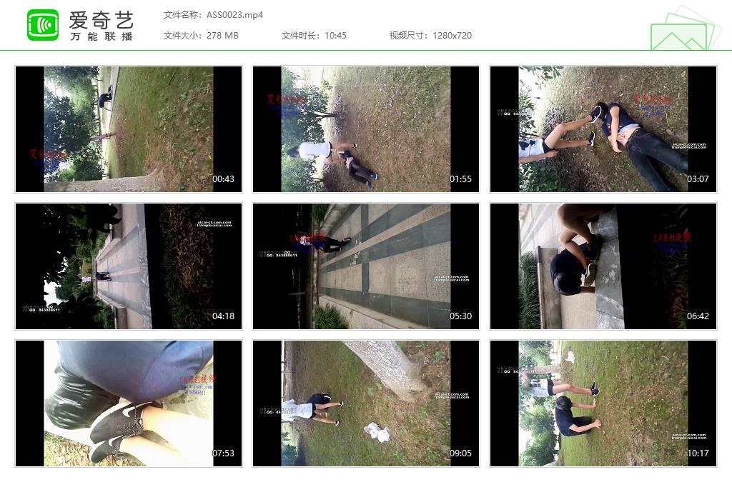 ASS0023[20250210-152242525].jpg