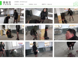 【冷柔】废弃工厂暴打羞辱欠债肥狗