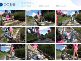 【冷柔】冷柔铁道操练特种狗